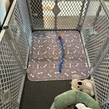 Tapete SniffPad gris con huesos dentro de un corral para cachorros, con un juguete encima