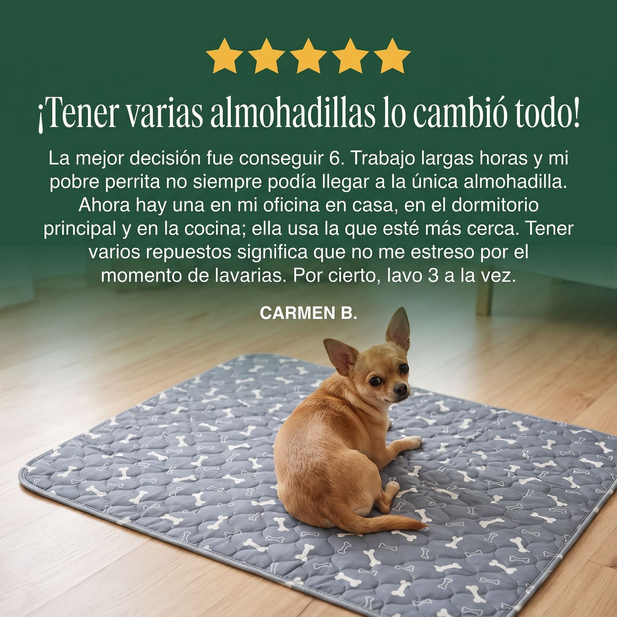 SniffPad Almohadilla con Feromonas para Perros