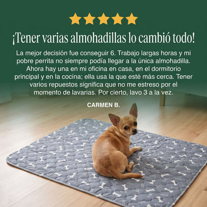 SniffPad Almohadilla con Feromonas para Perros