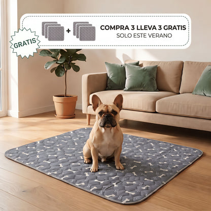 SniffPad Almohadilla con Feromonas para Perros