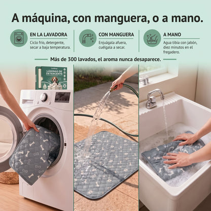 SniffPad Almohadilla con Feromonas para Perros