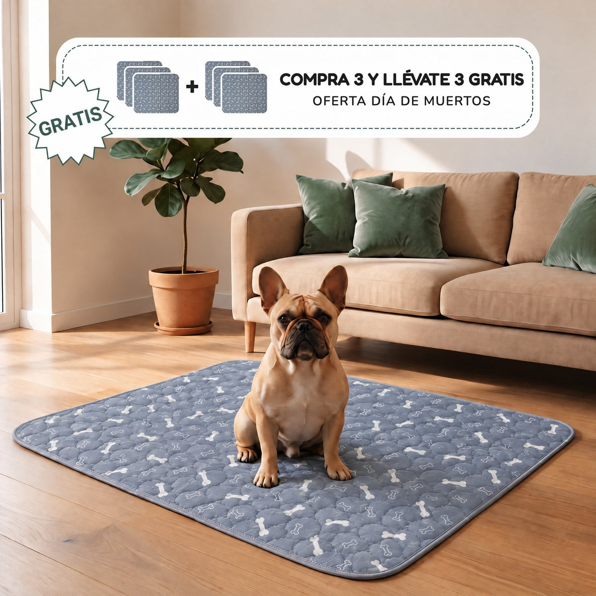 Tapete entrenador lavable para perros SniffPad con un bulldog francés encima. Oferta Día de Muertos: compra 3 y llévate 3 gratis