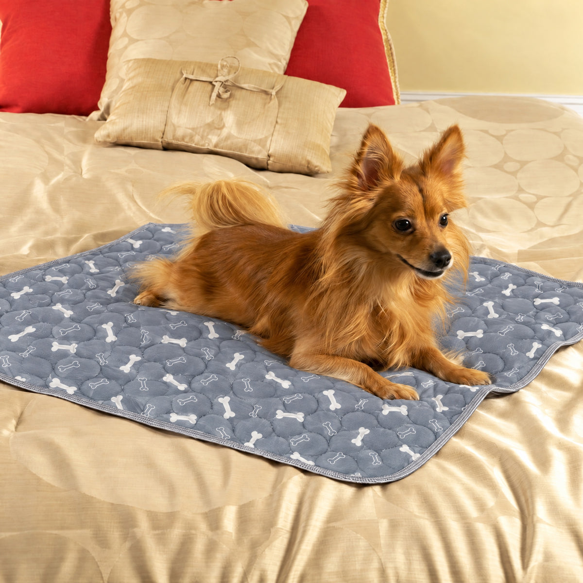 Perro descansando sobre el tapete lavable SniffPad en la cama